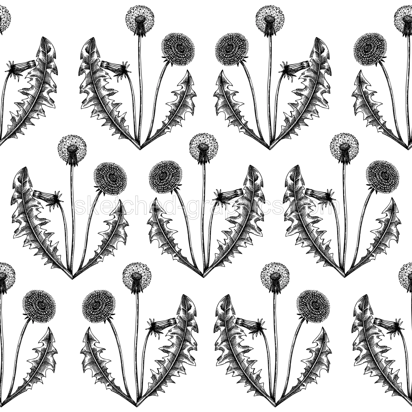 Dandelion seamless pattern. Hand-sketched medicinal herb background. Perfect for brands, label, packaging, wrapping. Botanical illustrations. Dandelion backdrop Illustration